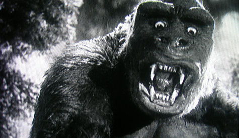KING KONG 1933 commentary by Judy Harris