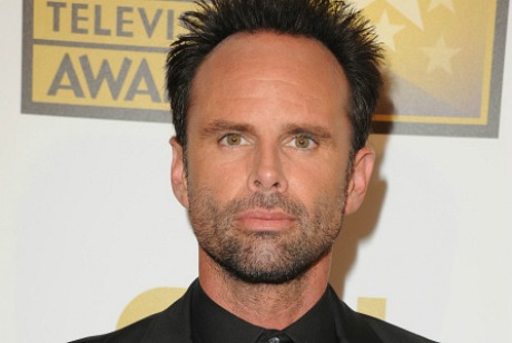 walton goggins lincoln