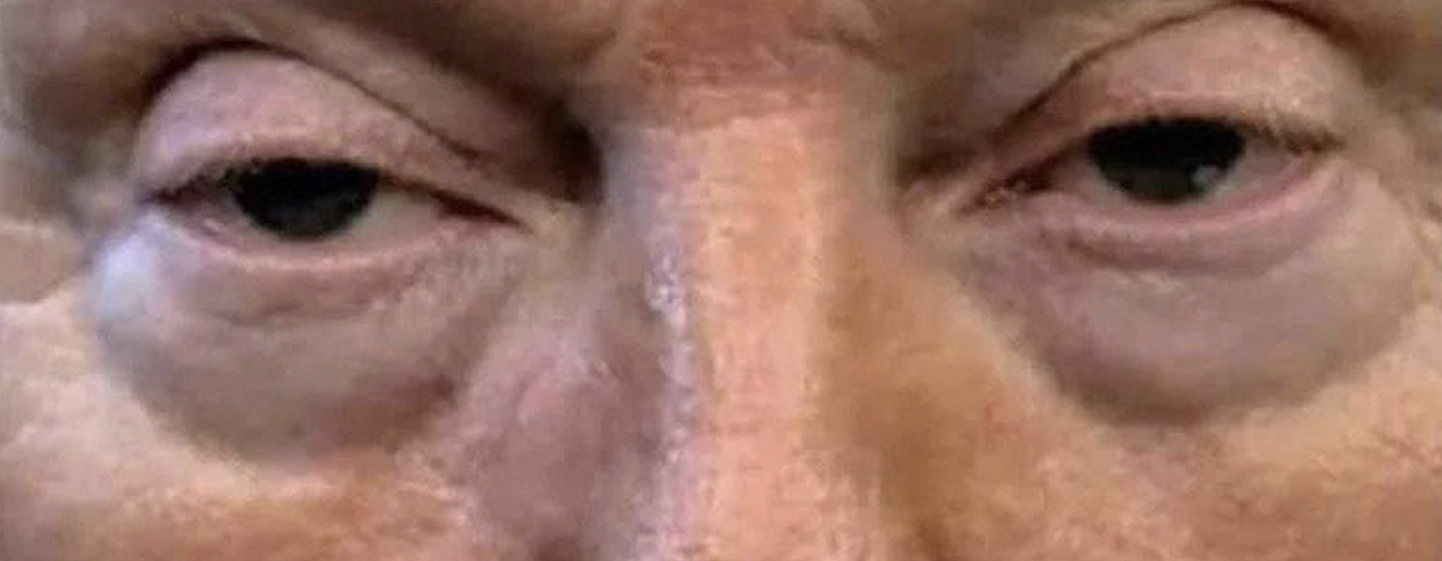 Pig of Pigs – Hollywood Elsewhere